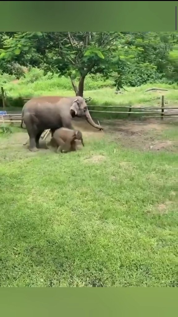 ����� ���� ����� � ������� � ��������� � � ��������� ��� �������� ������� ��������� - 2