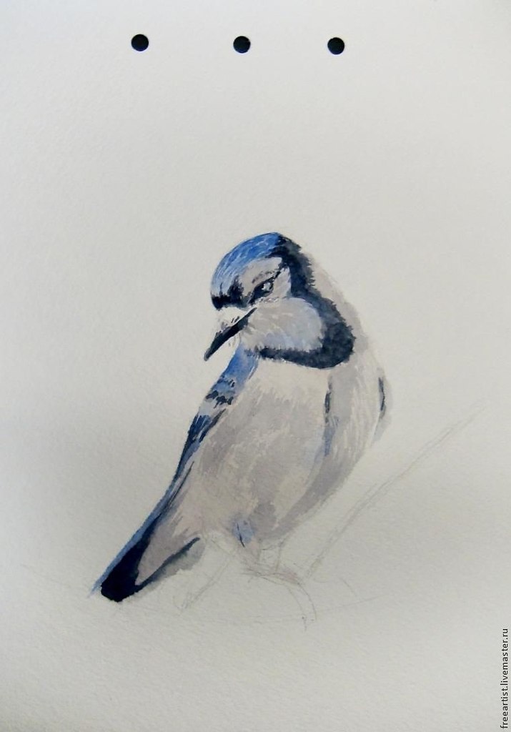  .    :1.  2.   3. ... - 6