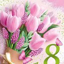 ���� �������, ��������, 41 ��� - ��������� 8 ����� 2026 � ������ ������ ��������