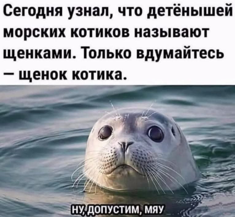   - 26  2025  07:31