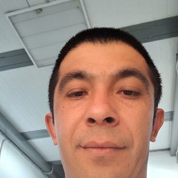 , 33, 