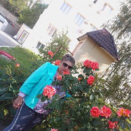 , 61, 