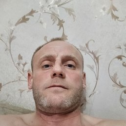 , 41, 