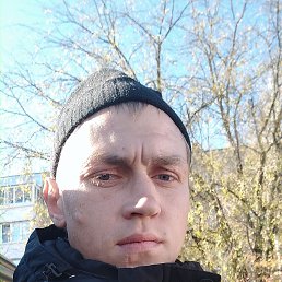 , 31,  
