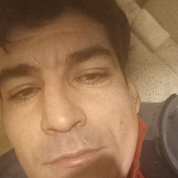 ����, �����-���������, 40 ���