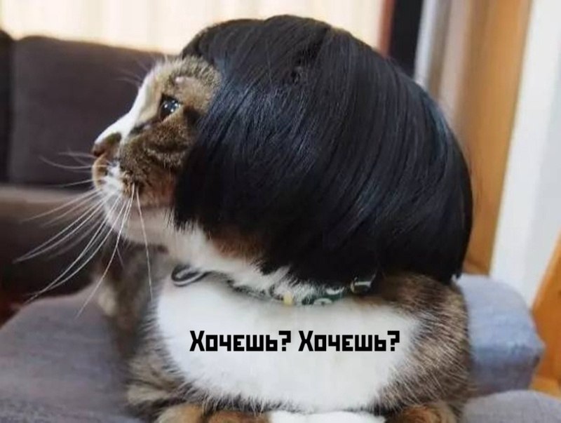       - 3  2025  11:52 - 2