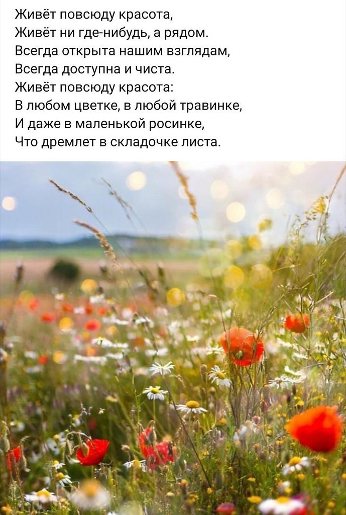   - 11  2025  06:07