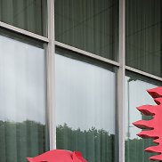 �����������, 56 ���, ���������