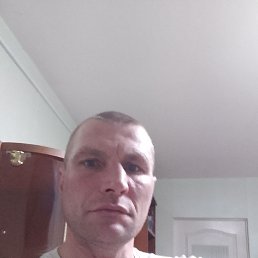 ���� ���������, ������, 41 ��� - ��������� 2 ����� 2026