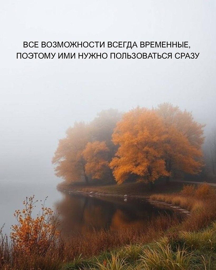 Just Business - 24 октября 2025 в 13:41 - 6
