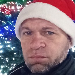 ���������, ���������� �����, 41 ���