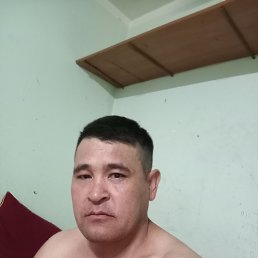 ���� ����, ������, 38 ��� - ��������� 31 ������ 2026