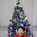 ���� ����, ���������, 66 ��� - ��������� 31 ������ 2024 � ������ ���� ����������