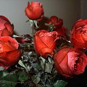 ���� ������, ������� - ��������� 8 ����� 2025 � ������ ������ ��������