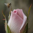 ���� ����, ���� - ��������� 26 ������� 2025 � ������ ������ ��������