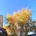 ���� ������, ���������� - ��������� 16 ������ 2024 � ������ ������ ��������