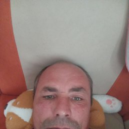 , 40, 