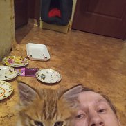 , 39 , 