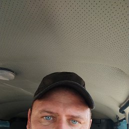 , 42, 