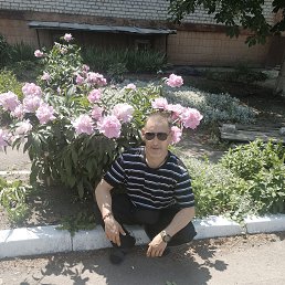 , 38, 