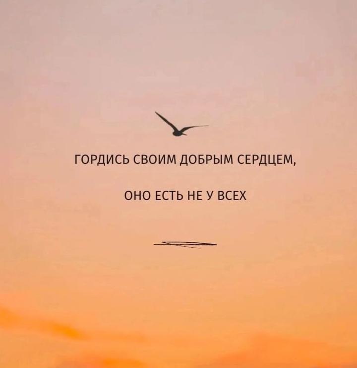 ������� ����� ������� ������ - 14 ��� 2026 � 17:21