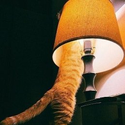 ����, ����, 38 ���