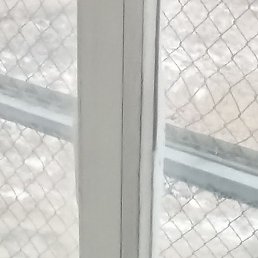 �����, �����������, 44 ����