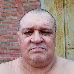 �����, ������������, 50 ���