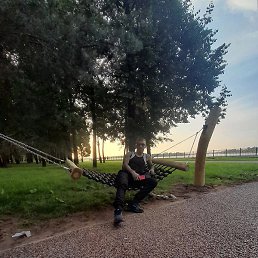 ����, �����-���������, 41 ���