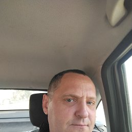 , 46, 