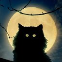 ���� ������, ������, 40 ��� - ��������� 3 ��� 2025