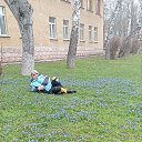 ���� �������, �����, 63 ���� - ��������� 29 ������ 2026 � ������ ���� ����������