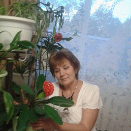 ���� ���������, ������� - ��������� 26 ����� 2026