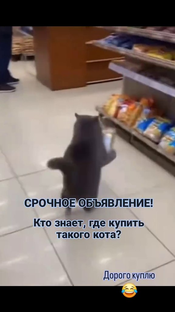 ���� ��� �����, ����������!)