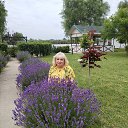 ���� �����, ��������� - ��������� 16 ���� 2026 � ������ ���� ����������