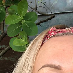 ��������, ��������, 61 ���