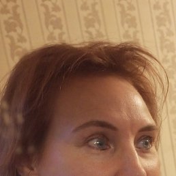 ����, �����-���������, 50 ���