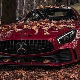���� ������, ������, 25 ��� - ��������� 29 ������� 2023