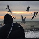 ���� ��������, ������, 41 ��� - ��������� 22 ������� 2024