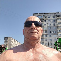 , 61, 