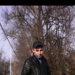  , 29 , 