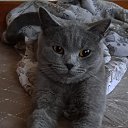 ���� �����, ������, 55 ��� - ��������� 2 ������ 2023