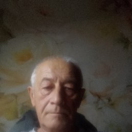 Владимир, 67, Липецк