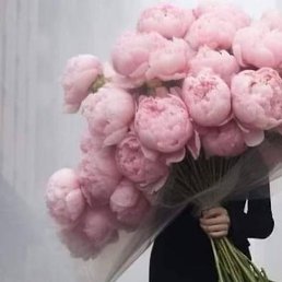 �������, ������������, 50 ���