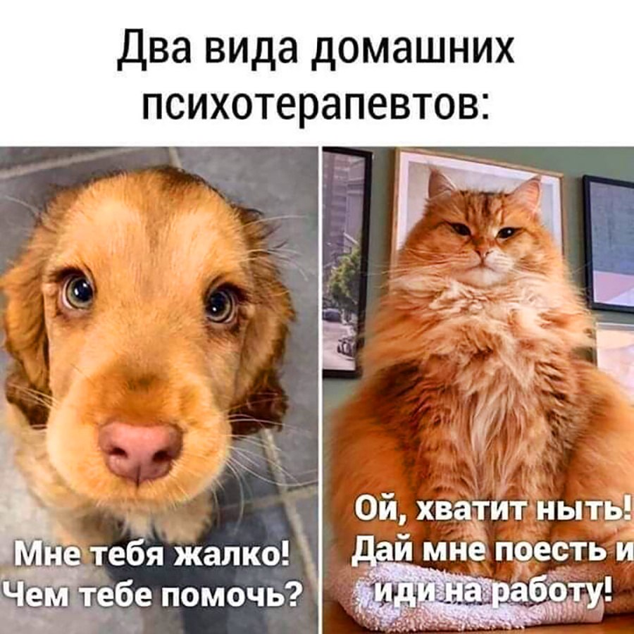  - 20  2025  09:49