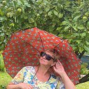 ���� ������� ��������, �����-���������, 63 ���� - ��������� 24 ������� 2024