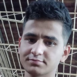 �����, �����-���������, 28 ���