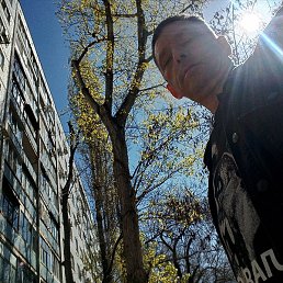 �������, ���������, 51 ���