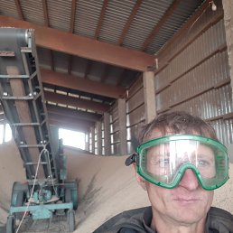 , 41, 