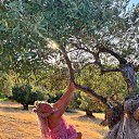 ���� ����, ����� - ��������� 8 ������� 2025 � ������ ���� ����������